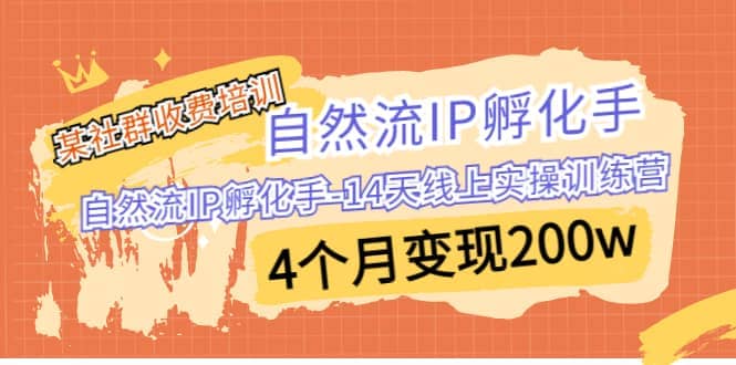 某社群收费培训:自然流IP 孵化手-14天线上实操训练营 4个月变现200w网创吧-网创项目资源站-副业项目-创业项目-搞钱项目网创吧
