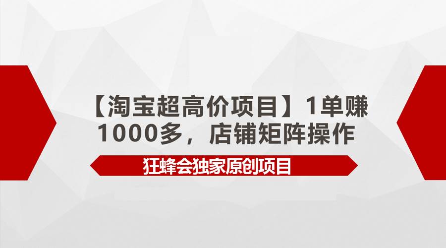 【淘宝超高价项目】1单赚1000多,店铺矩阵操作网创吧-网创项目资源站-副业项目-创业项目-搞钱项目网创吧